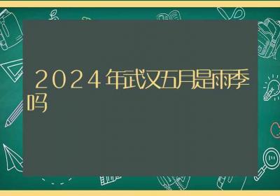 2024年武汉五月是雨季吗-ROED容易得分享